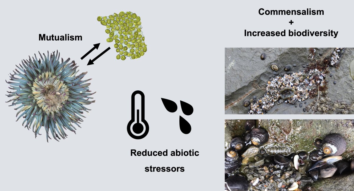 Samuel Bedgood tweet media