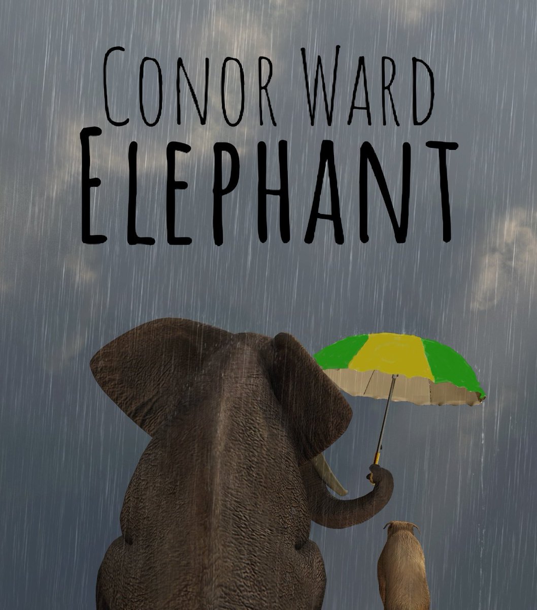 Massive thank you to the wonderful people at <a href="/radiokerry/">Radio Kerry</a> for adding Elephant to the station's playlist. I know who I'll be shouting for this Sunday! 😉💚💛
