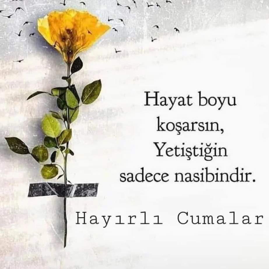 Duaların geri çevrilmeyeceği bu mübarek günde Rabbim Dualarımızı kabul etsin..Bizleri Rahmetinden mahrum bırakmasın İnşallah🤲🤲