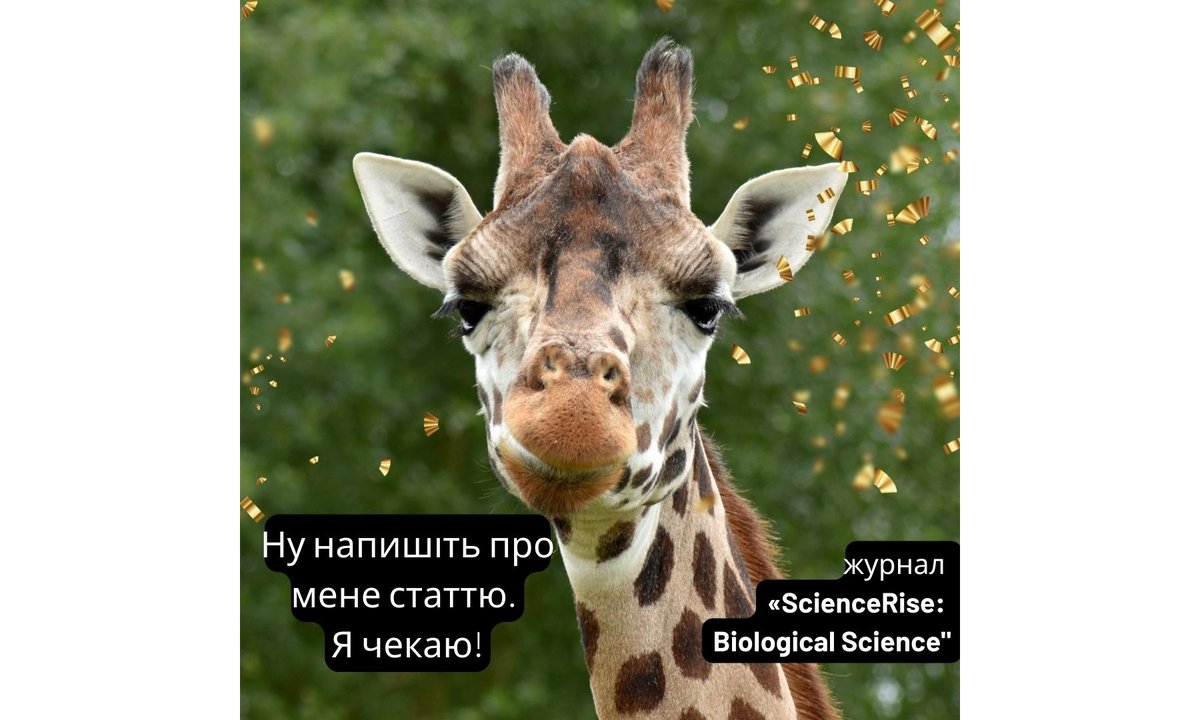 TechnolCenter's tweet photo. «ScienceRise: Biological Science» чекає на Ваші публікації
091 – Біологія
211 – Ветеринарна медицина
🔗https://t.co/YA8tQuMxU2
#publisher #author #publication #article #technologycenter #sciencerise #biology #biologicalsciences #veterinary #veterinarysciences https://t.co/8TDHL8KxaW