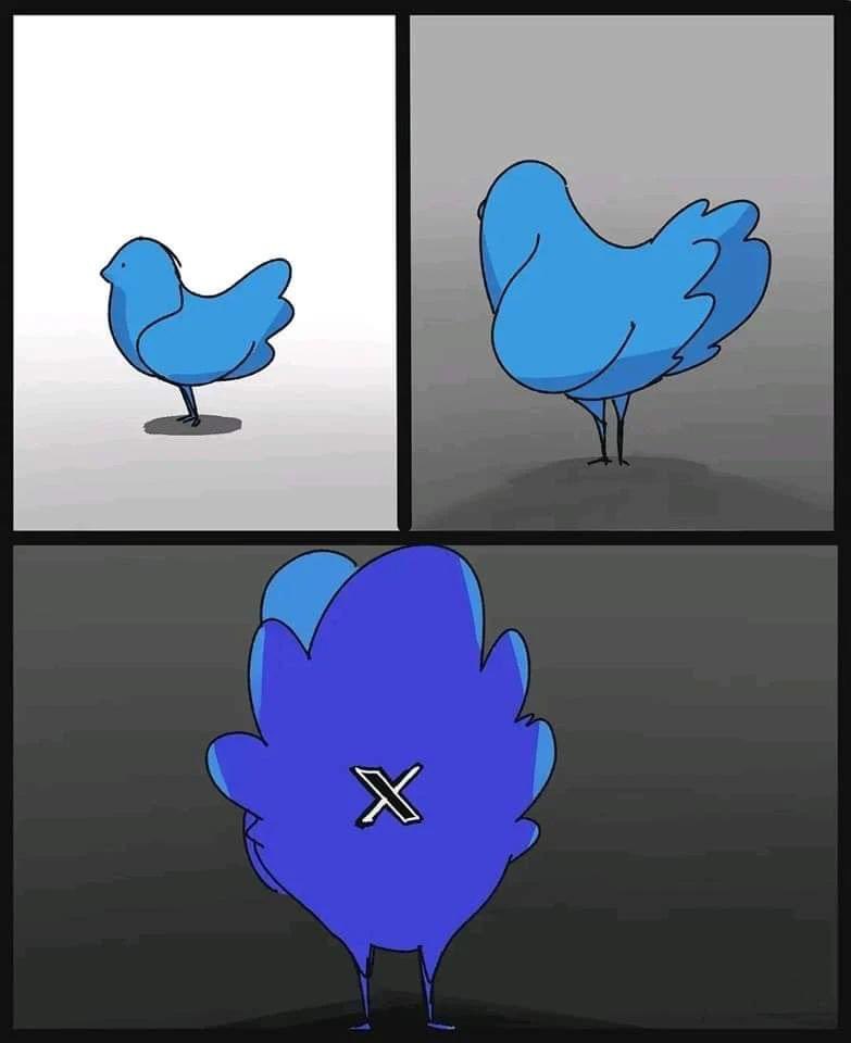 Mark Janipka (@markjanipka) on Twitter photo 