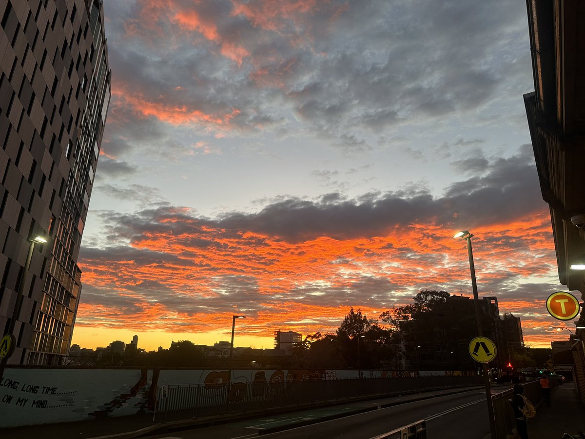 Not a bad way to start the work day seeing this walking out of the train station 🌤️