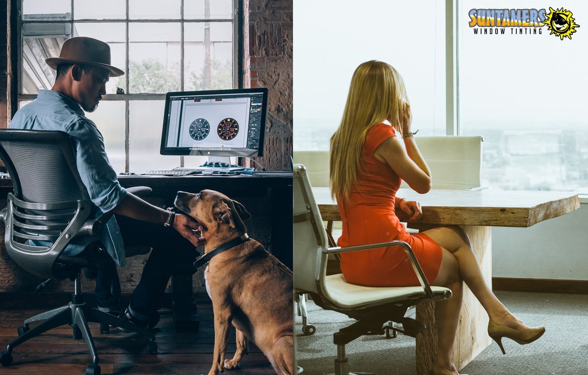 Suntamers1's tweet photo. Tired of high energy bills? Want to create a more comfortable environment in your home or office? Concerned about privacy and security? If so, we may have a great solution for you. Learn more at the link below.

https://t.co/wmXHJ3ZnUQ

#windowfilm #windowtint #glassupgrade https://t.co/YI8pd8ru8C