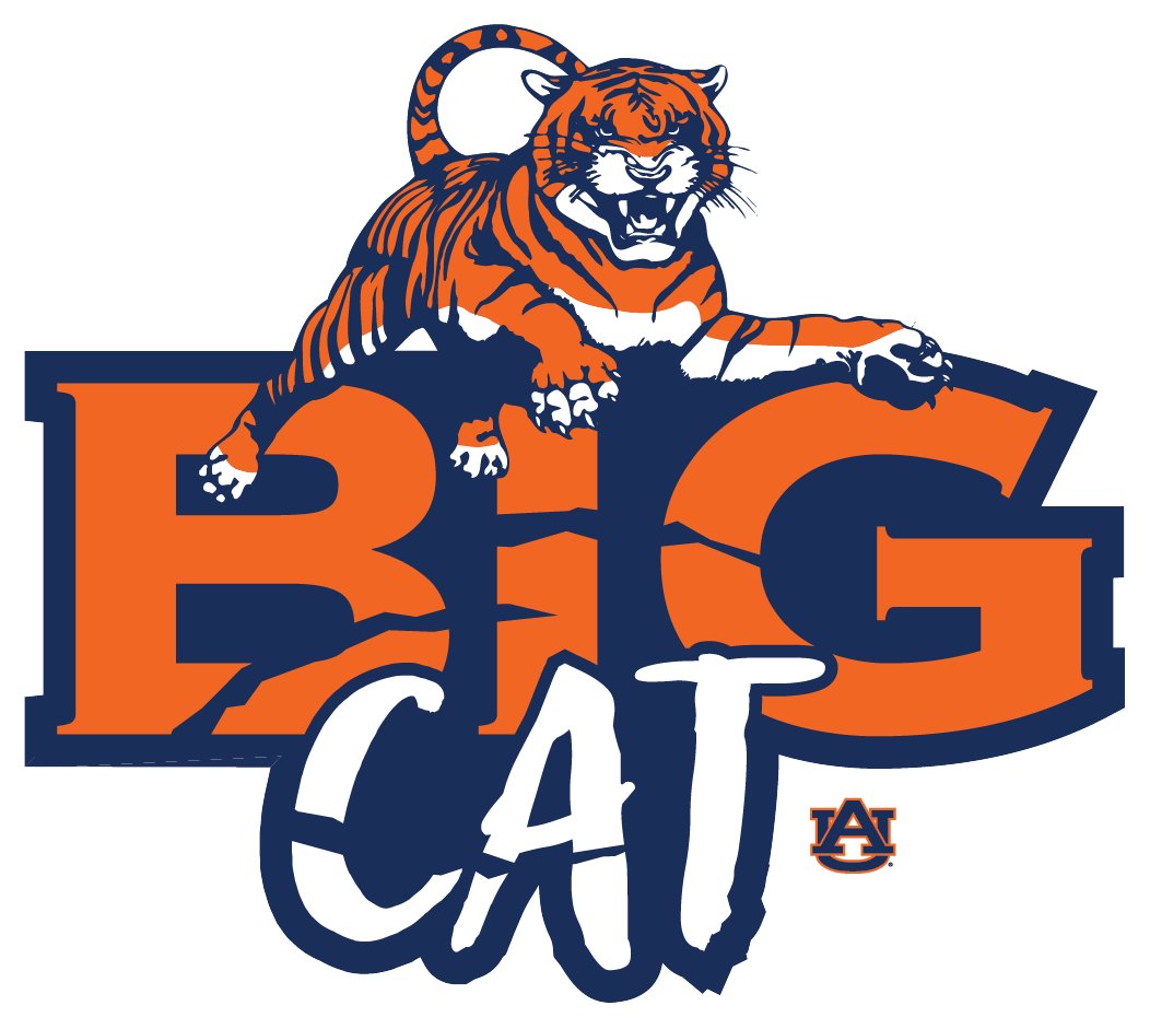 ⏳ #BigCat