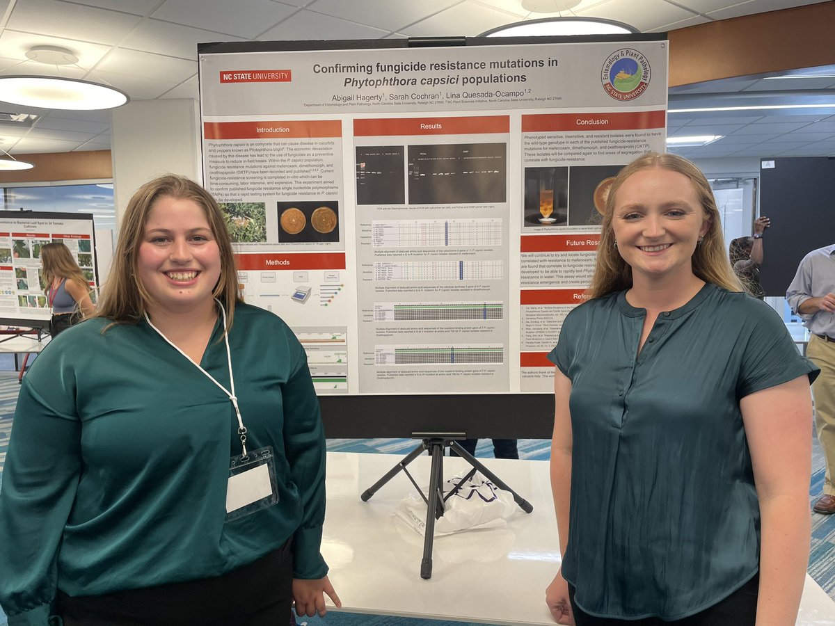 sarah_m_cochran's tweet photo. Congrats to Abby for presenting her research on P. capsici at the @NCState 2023 Undergraduate Research Summer Symposium 🎉 #TeamPCap @QuesadaLabNCSU https://t.co/ICVR9uWbEz