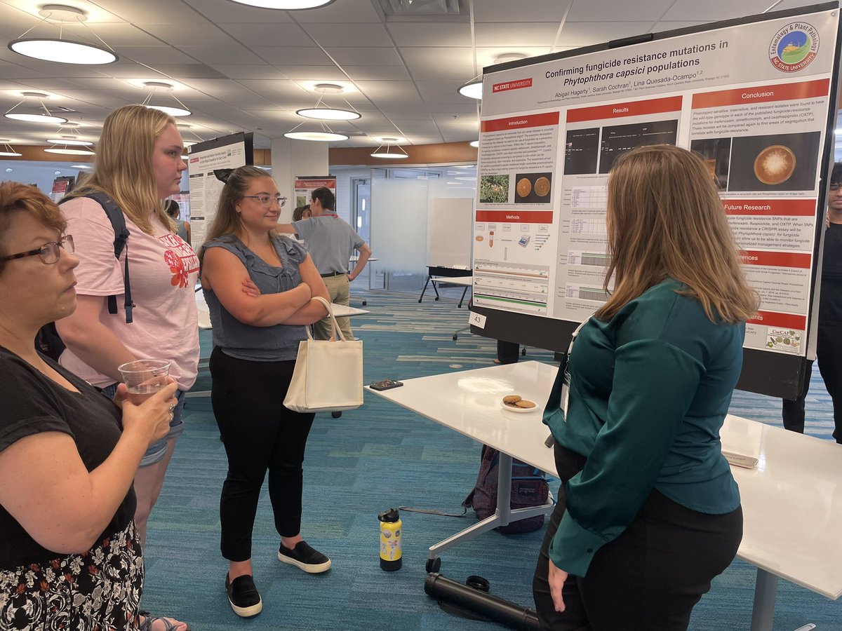 sarah_m_cochran's tweet photo. Congrats to Abby for presenting her research on P. capsici at the @NCState 2023 Undergraduate Research Summer Symposium 🎉 #TeamPCap @QuesadaLabNCSU https://t.co/ICVR9uWbEz