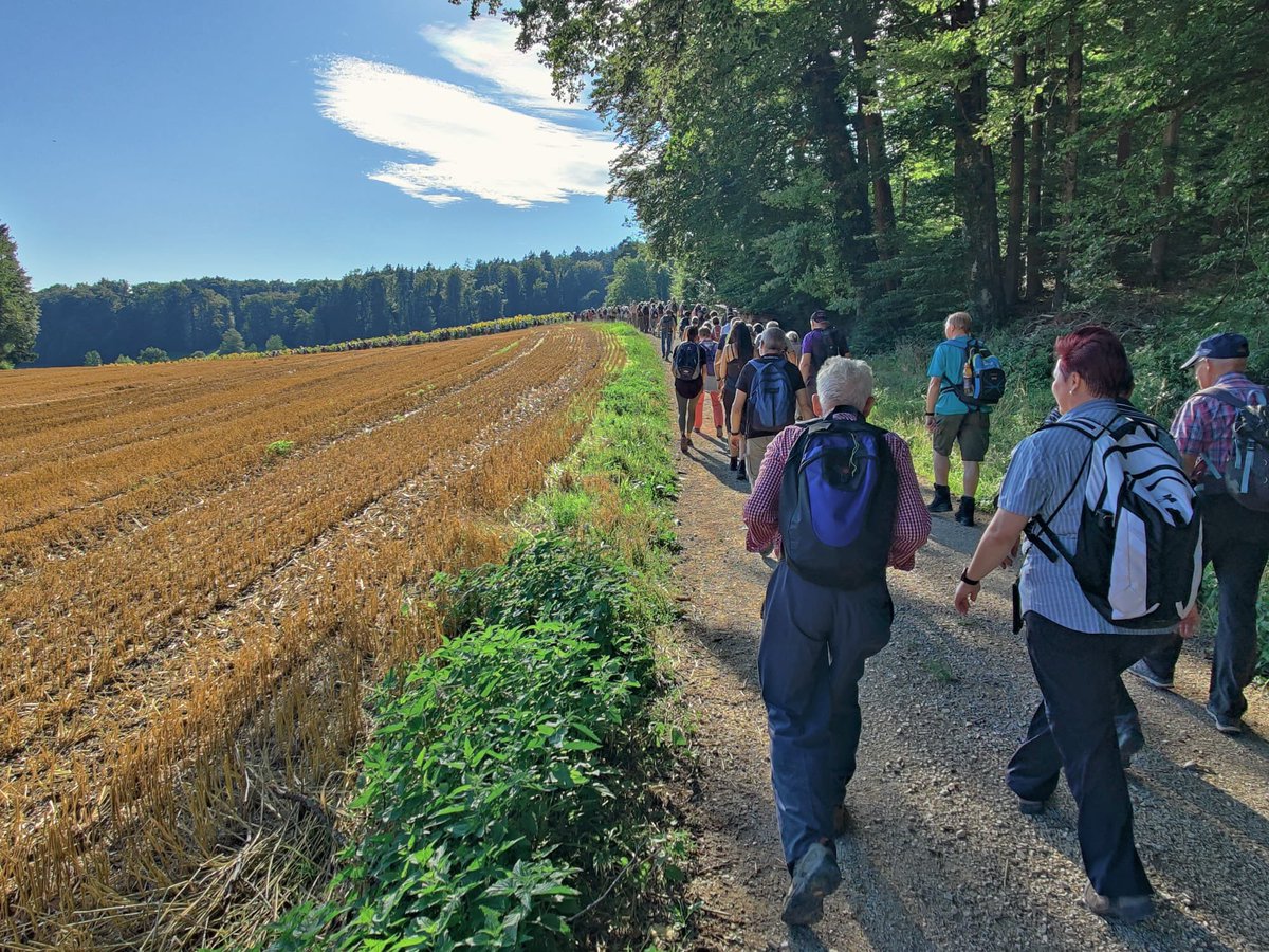 heimgartnerstef's tweet photo. Wunderbare, gemütliche Abendwanderung mit tollen Gesprächen von Otelfingen über den Sulperg nach Wettingen 🥾🇨🇭🌻😎🥾

#azleserwandern #leserwandern2023 #wandern #otelfingen #sulperg #wettingen #nationalratswahlen2023
@AargauerZeitung https://t.co/nAv7Z72arH