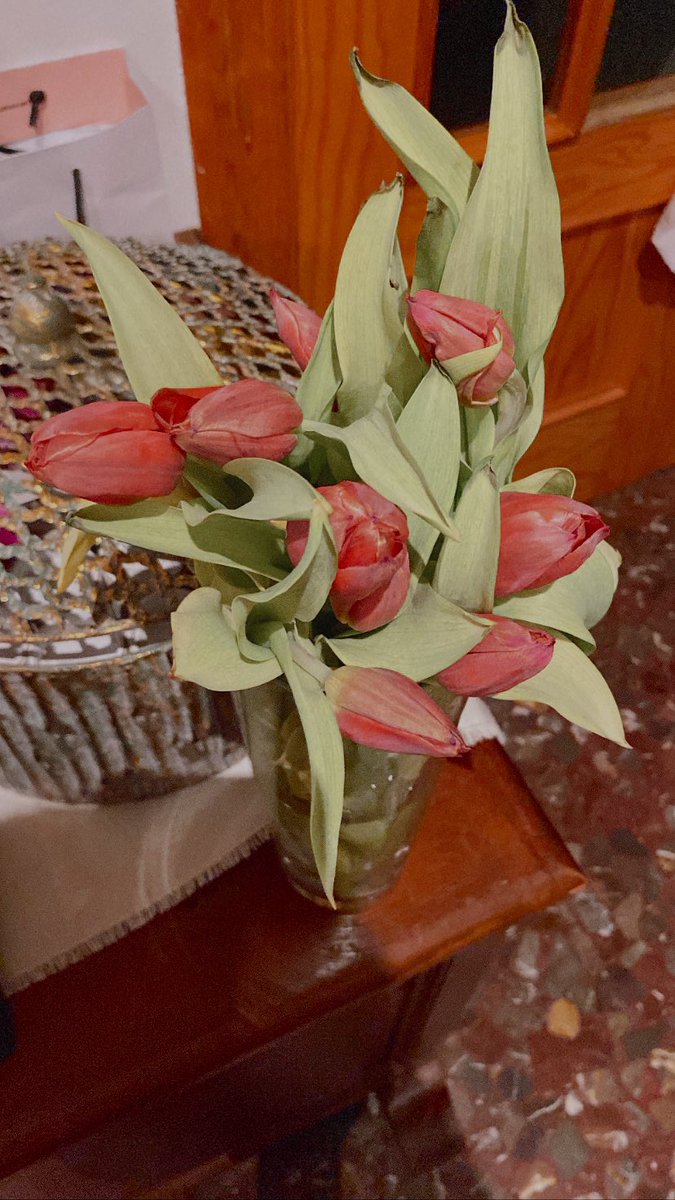 rociortegaa_'s tweet photo. mi madre me ha visto triste y hoy m ha traído un ramito de tulipanes rosas, tú q tienes??? 🩷🩷🩷🩷 https://t.co/23JYXIOaIL