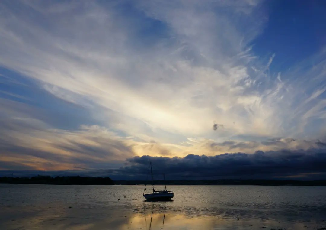 Liam Daly tweet media