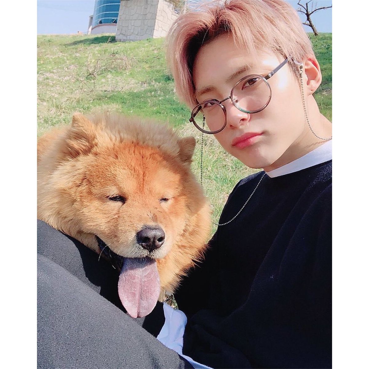 KpopMilitary's tweet photo. D-9 until Junhee gets discharged
๐ : 6. August 2023
๐ผ๏ธ: with pet
โผ๏ธSINGLE DIGITS CHOICE
#Jun #ACEJUN #ACE #CHOICE #choice #Junhee
Follow & turn on the ๐ to not miss any daily countdown :) https://t.co/LeTOTrbtg0