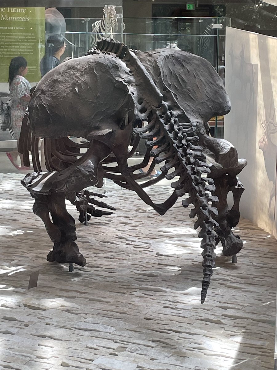 Dr_Mastodonna's tweet image. #SlothButt