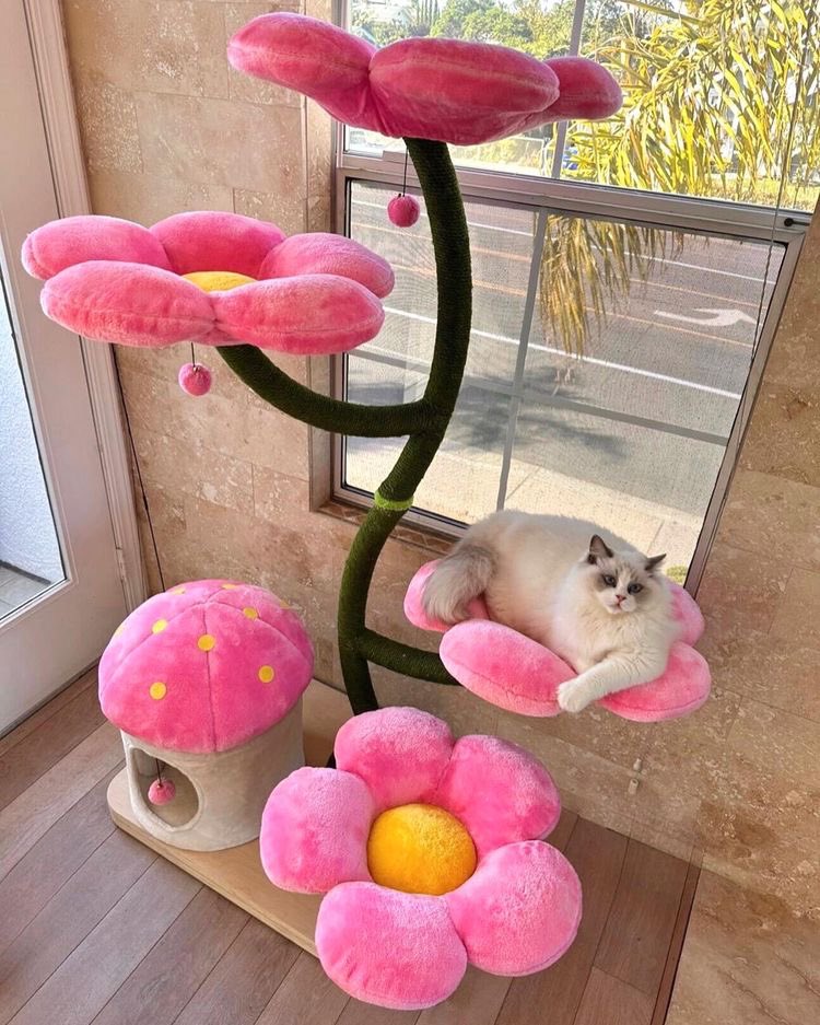 SoftnessDaily's tweet photo. flower cat tree 🎀 https://t.co/bpaACfEGhU