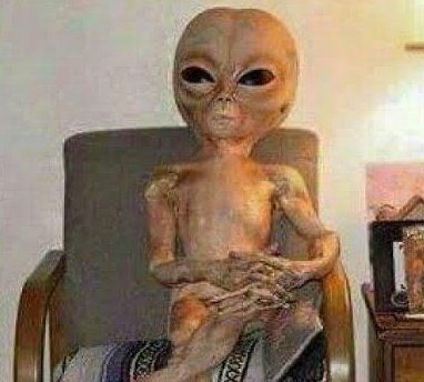 LeenaBaddie's tweet photo. Yo explicándole a los Aliens que vamos a tener una serie de Harry Potter, dónde cada libro será una temporada, como siempre lo soñamos   ///   Los Aliens escuchándome antes de destruir el planeta. https://t.co/yRxXnqas3t