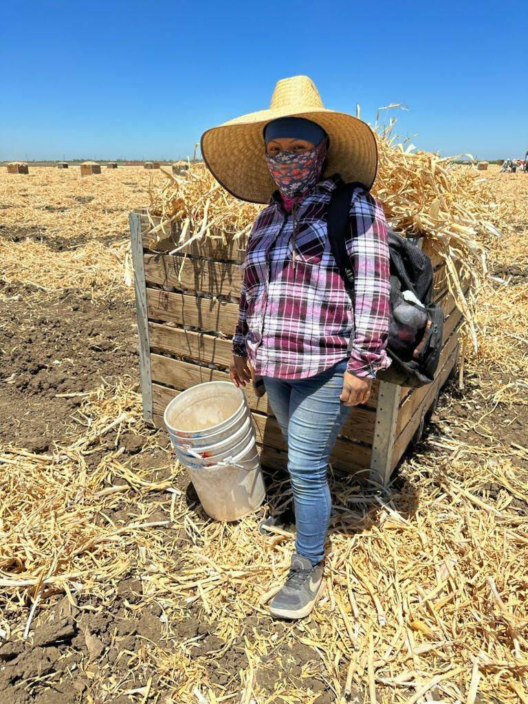 UFWupdates's tweet photo. Let’s hear it for Catalina. She is a farm worker from Madera CA who drives over an hour to Huron CA every morning to harvest garlic under scorching temperatures. The season is short, the days are long and hot, but she is proud to earn an honest living. #WeFeedYou #CALOR https://t.co/P4MxsYTDNm