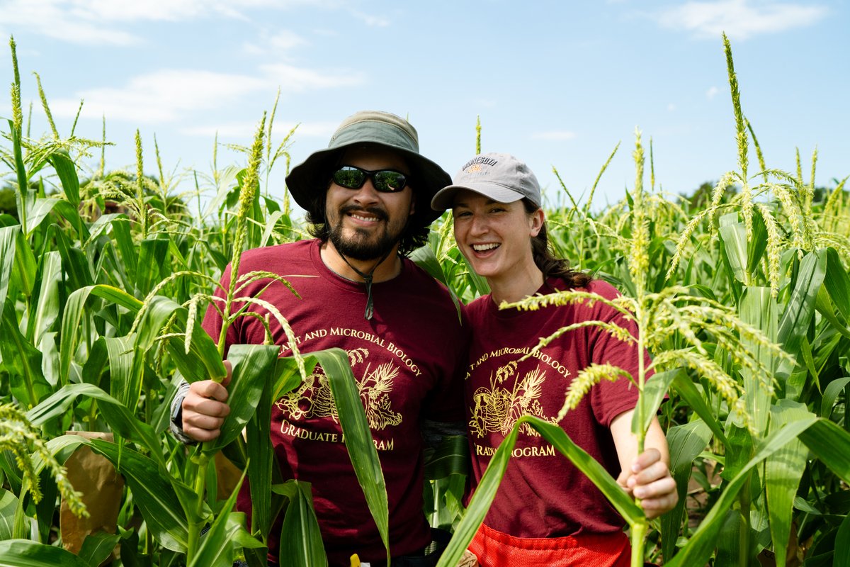UMN CBS (@umncbs) on Twitter photo “It’s corn! I can’t imagine a more beautiful thing!”… is probably what <a href="/phytograds/">Phytograds</a> Joan Barreto Ortiz and Claire Menard were thinking as they paused for a brief photo break at their maize research site. 🌽 Wish them luck on their fieldwork during these hot and humid summer days! “It’s corn! I can’t imagine a more beautiful thing!”… is probably what <a href="/phytograds/">Phytograds</a> Joan Barreto Ortiz and Claire Menard were thinking as they paused for a brief photo break at their maize research site. 🌽 Wish them luck on their fieldwork during these hot and humid summer days!