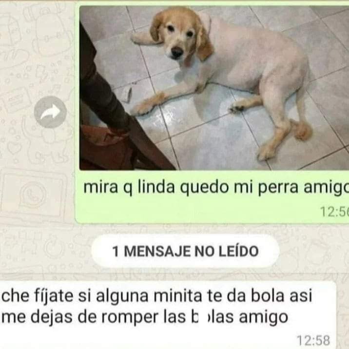 vinoypastillas's tweet photo. te quiero amigo https://t.co/KLOvWaLV4g