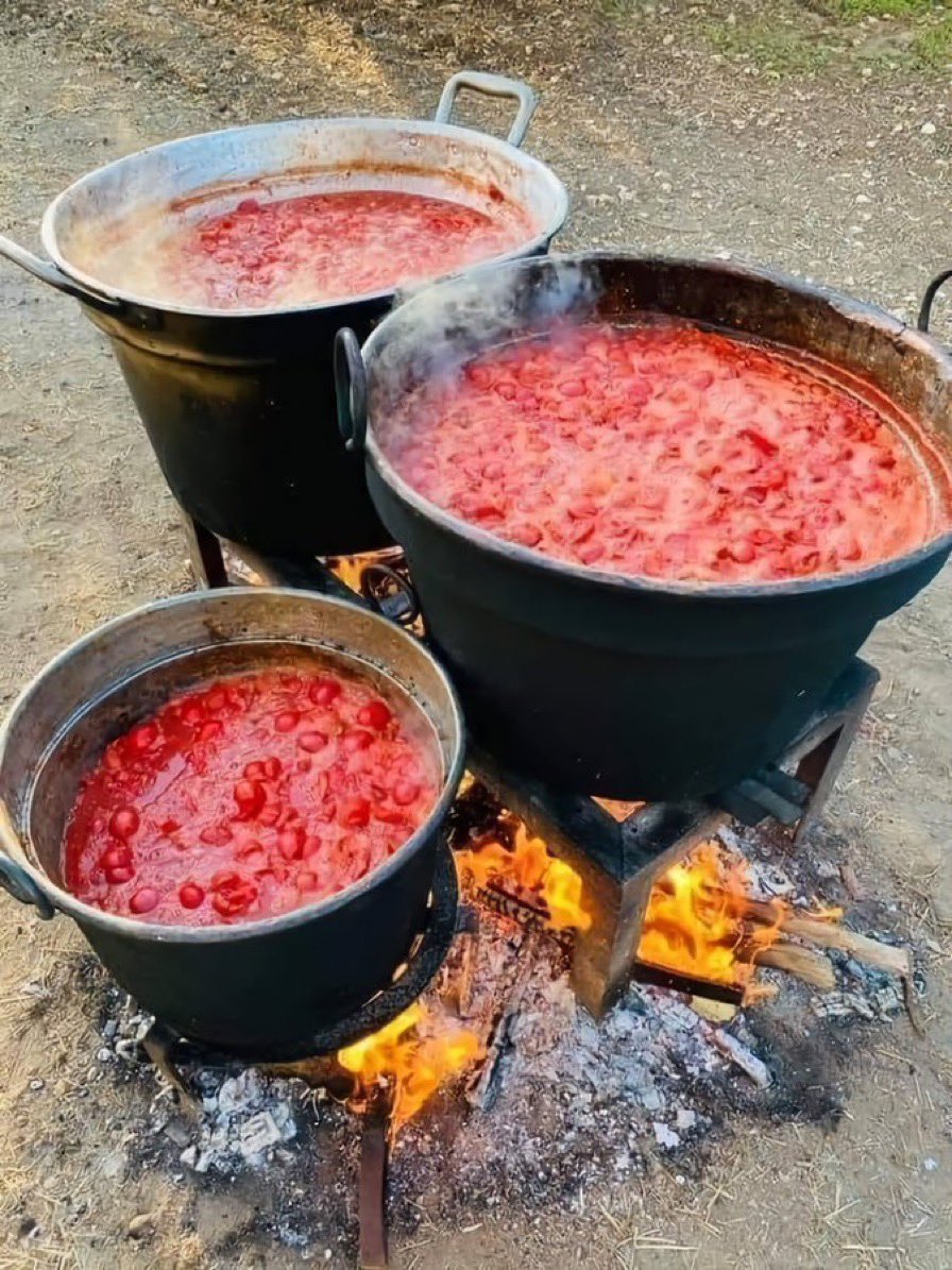 Ⓕⓡⓐⓝⓒⓨ🦅 tweet media