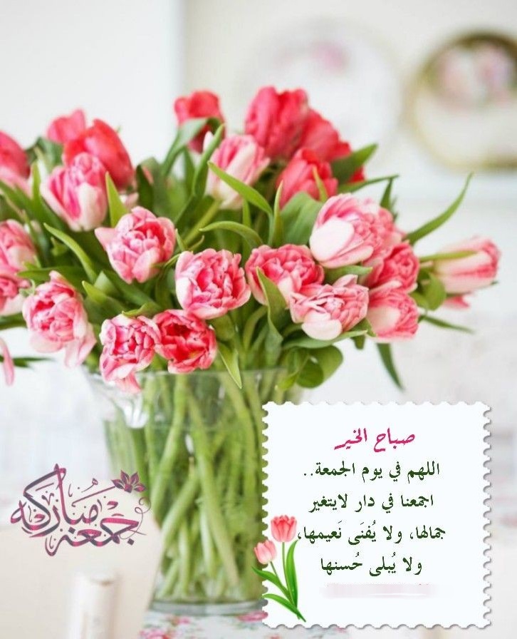 مها المأربية tweet media