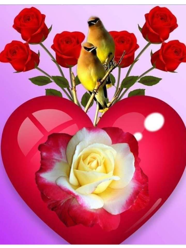 rahim_moha81817's tweet photo. @rozhannys یادروزگارشیرین خاطرات عشق دیری یاد بو صه های گرمت آن لبان نمکی https://t.co/TmCSTK0Zcx