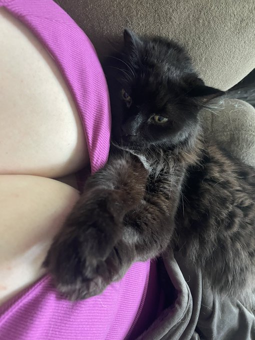 Why are you so obsessed with me. https://t.co/dgCsZ6SNuP<a href="/tag/newprofilepic"class="tags"><span>#newprofilepic</span></a>