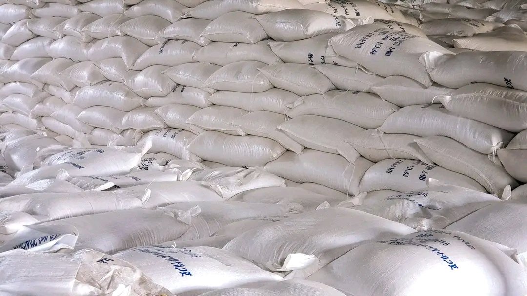DenuAman's tweet photo. Buno Bedele farmer Union has harvested 35,000 thousand maize from farmers this year and supplied it to the World Food Programme. https://t.co/1zLDRvGQyQ