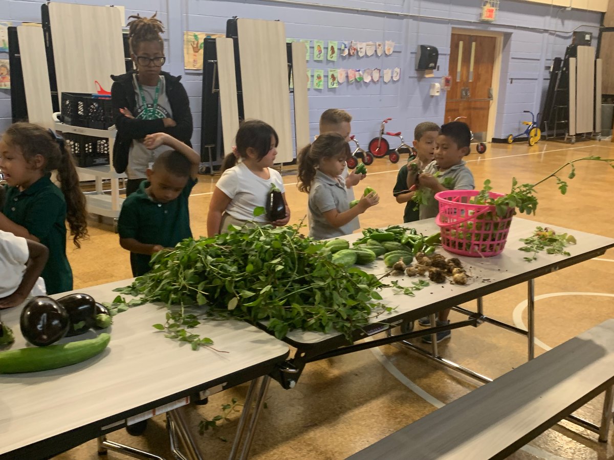 LWC Summer 2023 tweet media