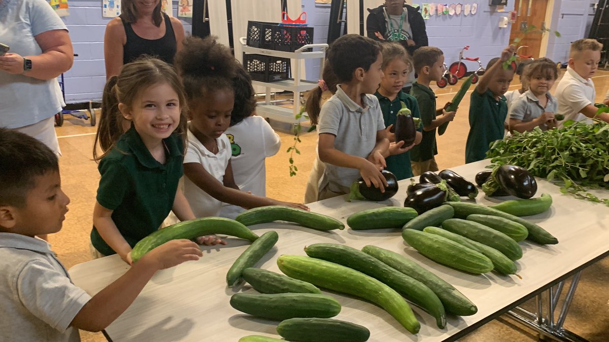 LWC Summer 2023 tweet media