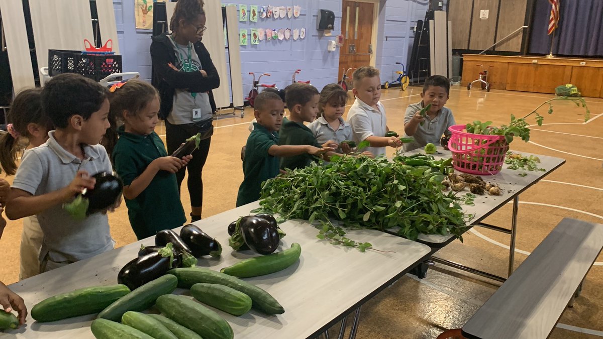 LWC Summer 2023 tweet media