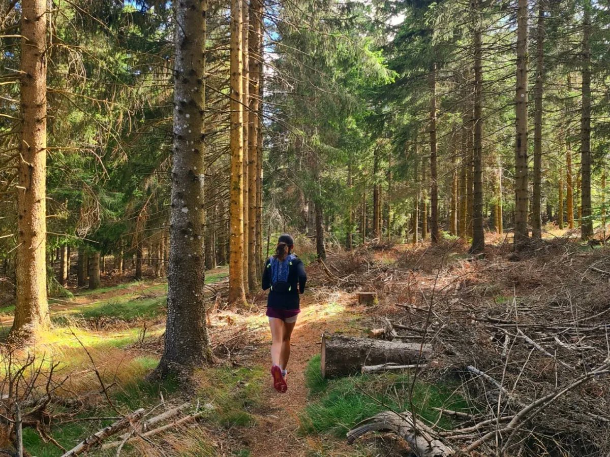 _2Llin_'s tweet photo. Aller en altitude pour faire du trail, c'est vraiment incroyable 🏔⛰️
#trail #running #NaturePhotography https://t.co/3LjmzGwM1C