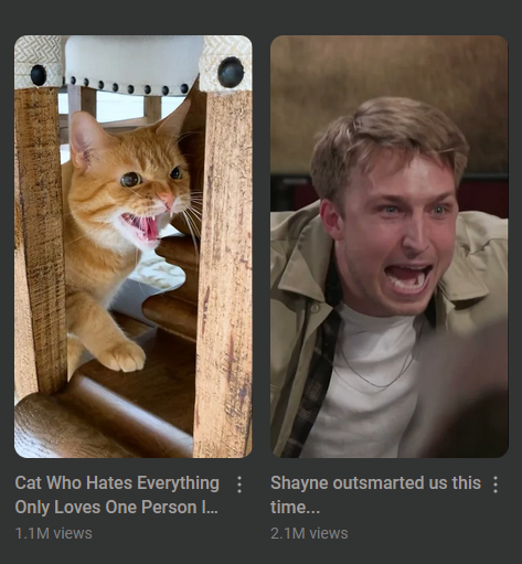 sixtypercentcat's tweet photo. @supershayne youtube recommended me these shorts side-by-side. does this mean something? https://t.co/vuv1KuKr9R