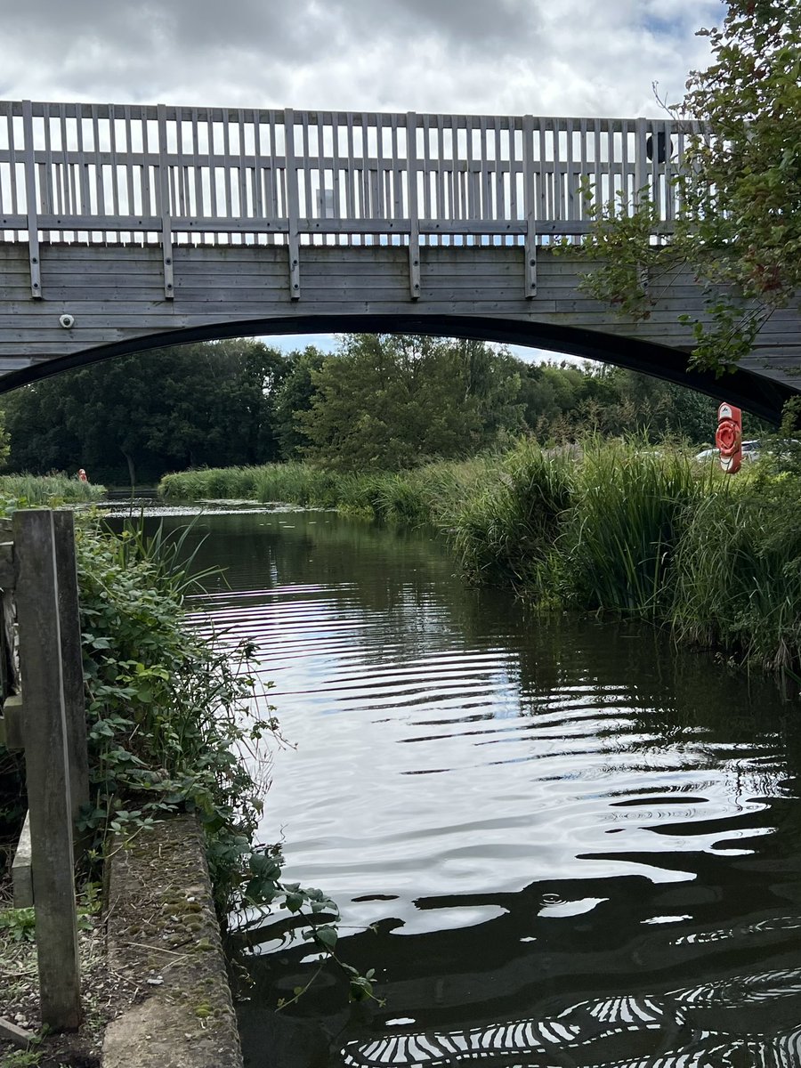 🌟Ruth Wyllie🦴 tweet media