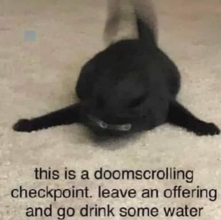 CATBRAINCELL's tweet photo. https://t.co/aXwln9fNVZ