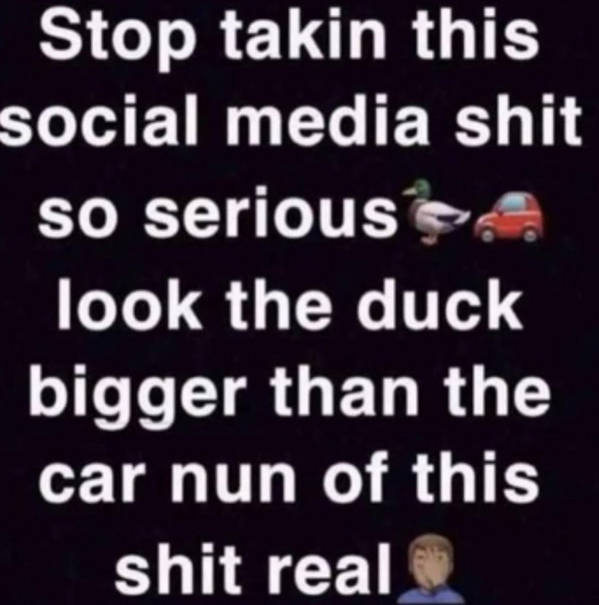Fish tweet media