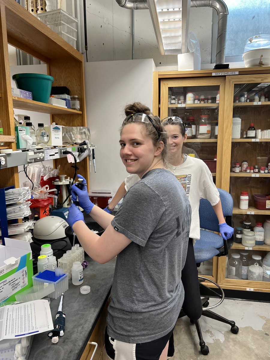 Summer research with five amazing undergrads: Alexa, RJ, Emma, Abby and Ellie!