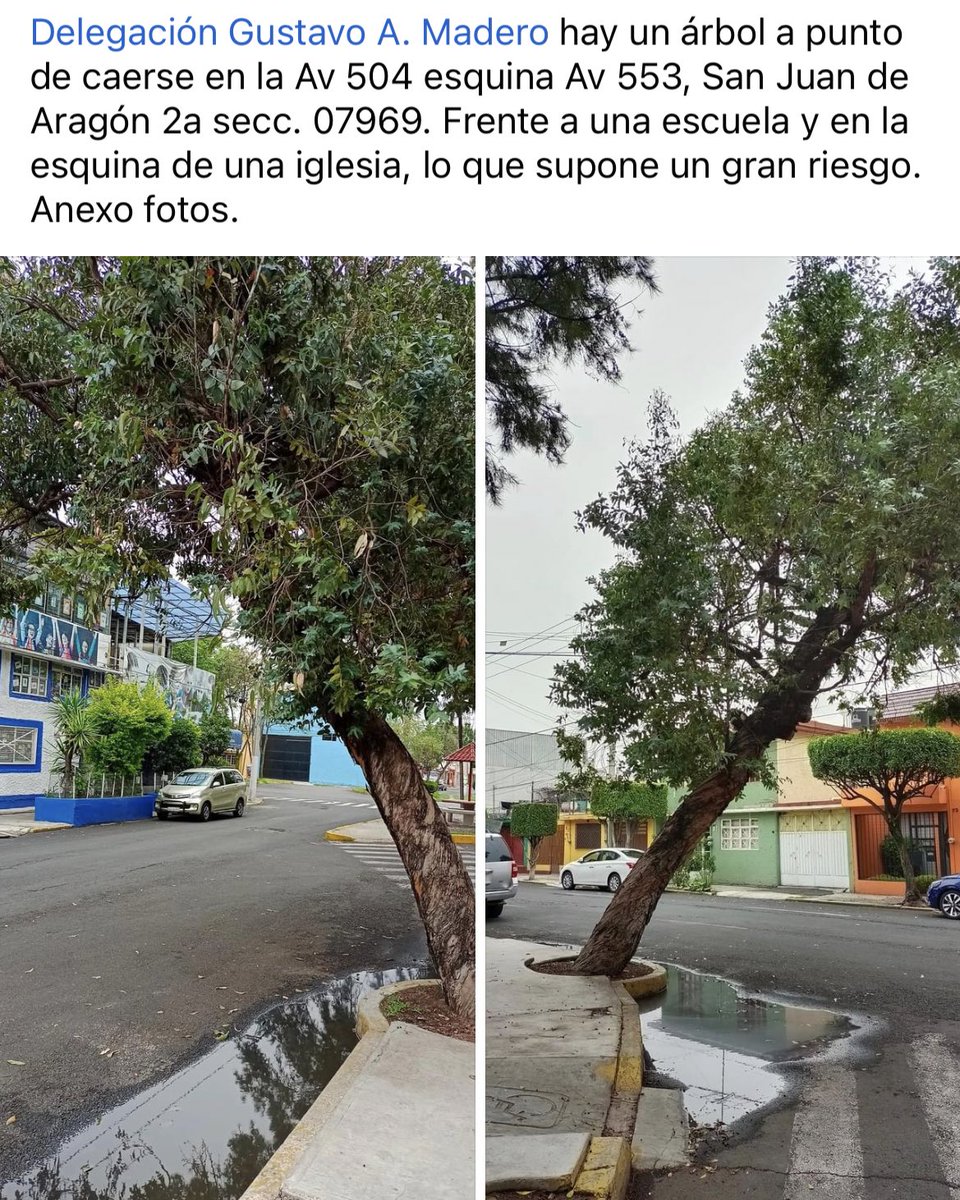 paolanet13's tweet photo. @fchiguil  ayuda urgente @GobCDMX https://t.co/d9pZXwp2qi