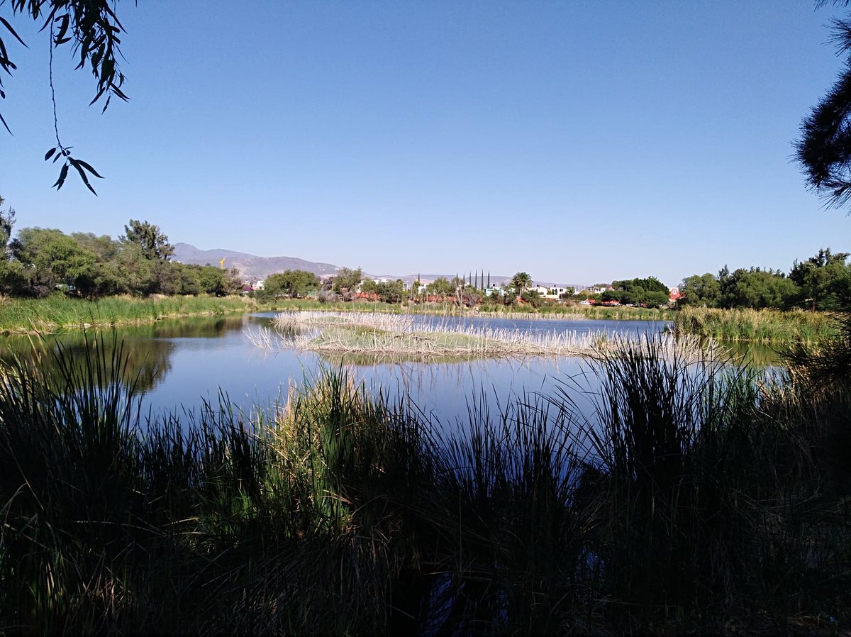 CECweb's tweet photo. ⚖️#Breaking News: @CECweb Secretariat publishes the factual record on City Park Project in León, #Guanajuato, 🇲🇽 🏞️

Media release
👉https://t.co/PJ4OBSrbLc

#SEMprocess https://t.co/VbzSZYDc6d
