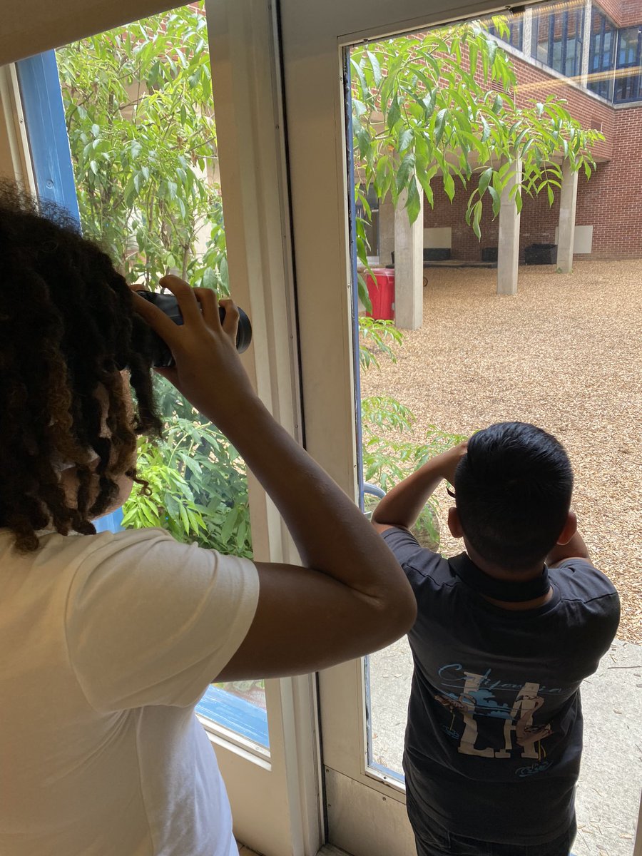 UrbanAdvSquad's tweet photo. Inside, outside, up in the air, down on the ground. The young #ornithologists at @CapitalCityPCS closed out summer school and #OutdoorLearning this week with an essential urban skill: #birding! #CityAsTheClassroom #EquitableOutdoorLearning #Outdoors #birds https://t.co/H376ykgcGk