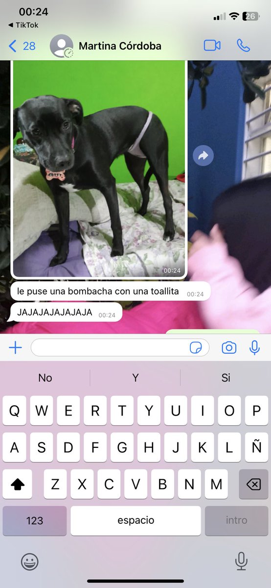 Yo necesitaba subir esto 😂
Se le indispuso la perra y le hizo eso 
Que chica tan normal 😂😂😂