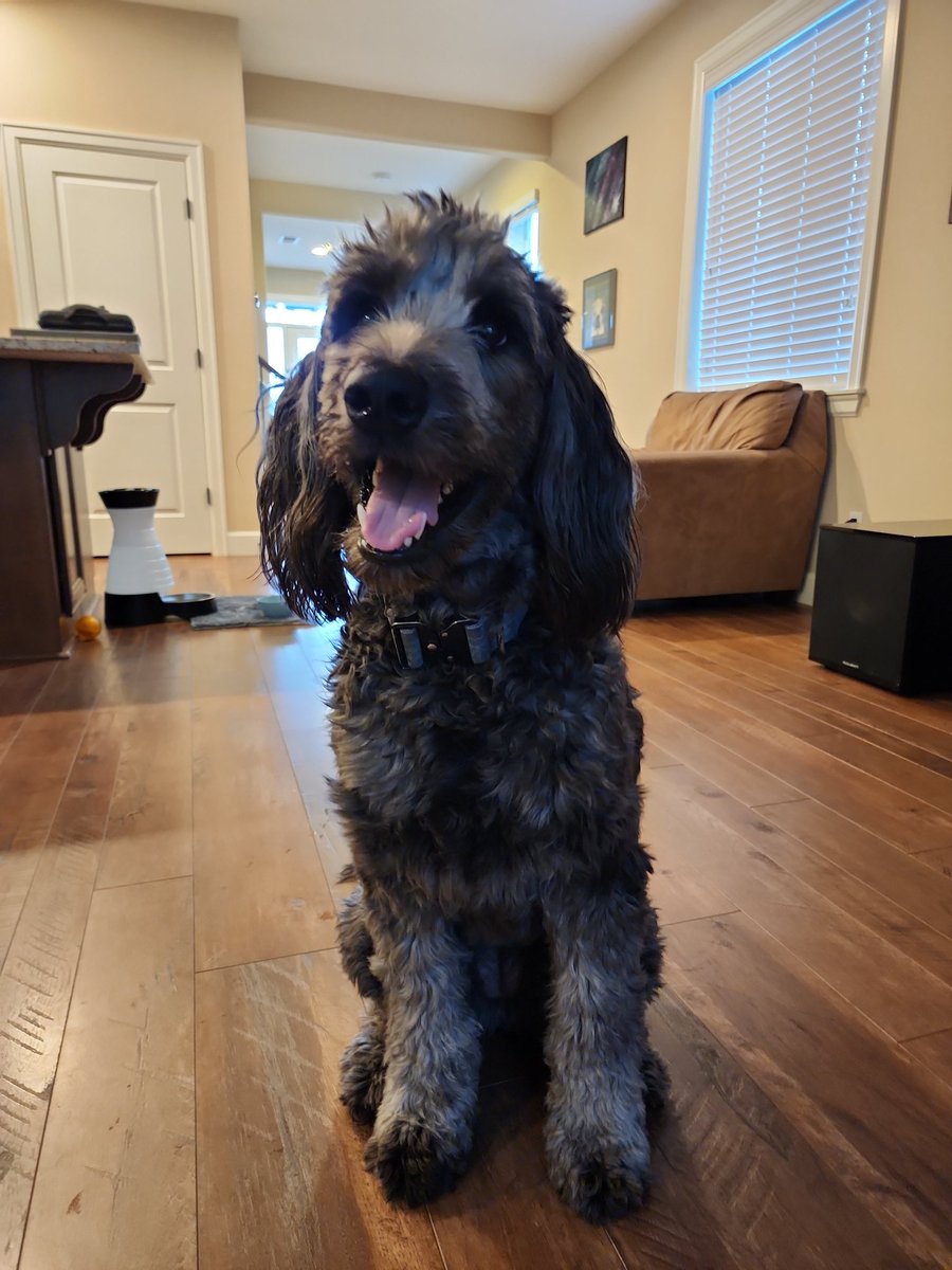 _DogWalker_'s tweet photo. https://t.co/4i9pkk1iRI