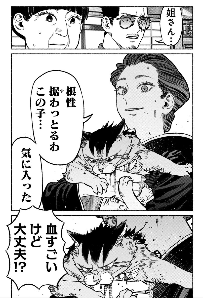 (4/4)
続きはこちらで🐈
https://t.co/5QTQV0uE1O 