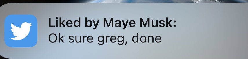 Not Elon Musk tweet media