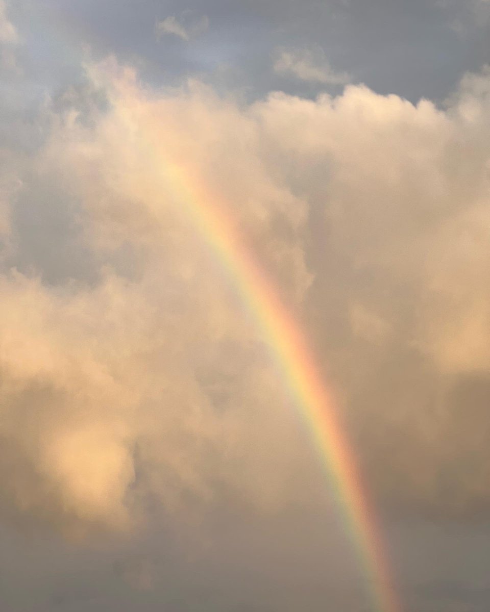 wonubliss's tweet photo. xuminghao_o 🌈☁️🌳 #디에잇 https://t.co/iDfkEN2uKk