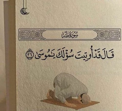 Beet7_'s tweet photo. اللهُم كما استجبت لموسى سؤله؛ استجب لنا دعواتنا، وحقق لنا ما نتمنى، واصلح لنا شأننا كله ولا تكلنا إلى أنفسنا طرفة عين .. إنكَ على كُل شيءٍ قدير. https://t.co/9wkdgq0Qes