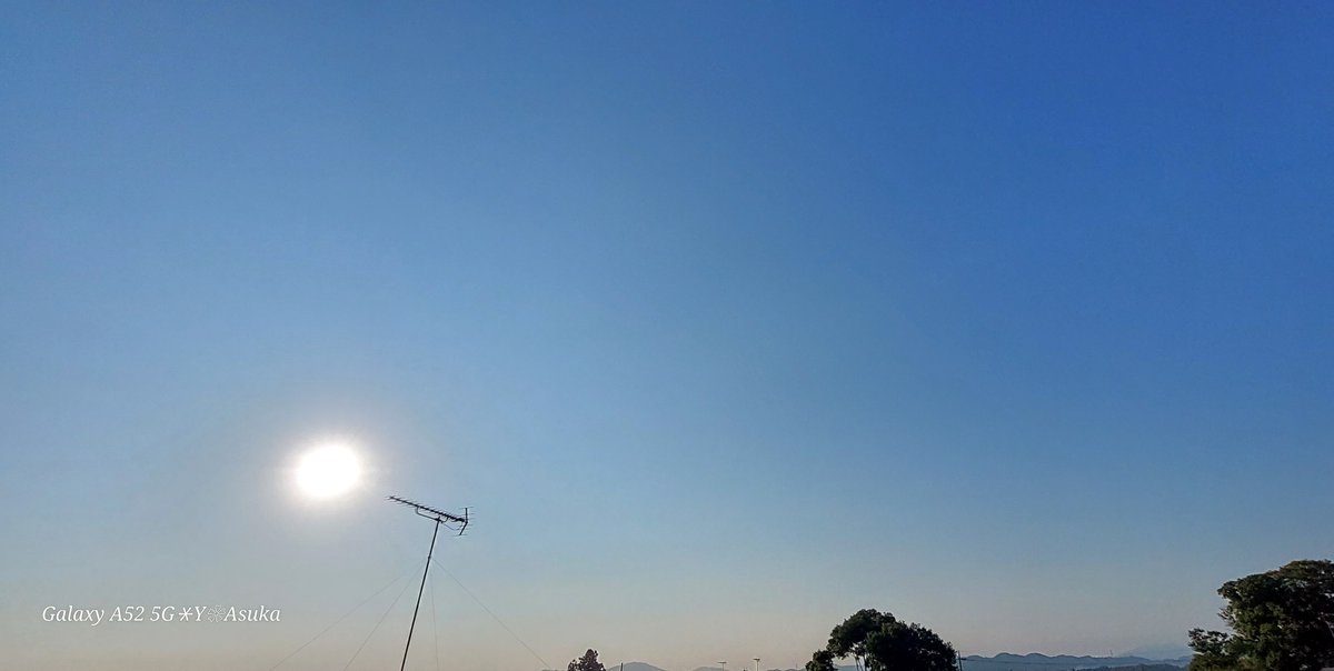 yumeasutw's tweet photo. #青空 に��日様ギラギラお日様パワー全開の金曜日の朝☀️✨
オレンジの #マリーゴールド 達は元気一杯💛
予��最高/最低気温🌡️36℃/24℃
晴れ時々曇り☀️/☁️
お洗濯日和👕👖午後は南風が吹き🌬️➰🌿夕方は俄か雨にご用心⛈️
#庭花 #花 #Flower #マクロ
#空の名前
#天気の図鑑
#a2023 #a0728 #a202307 https://t.co/IDRbKxdrCk