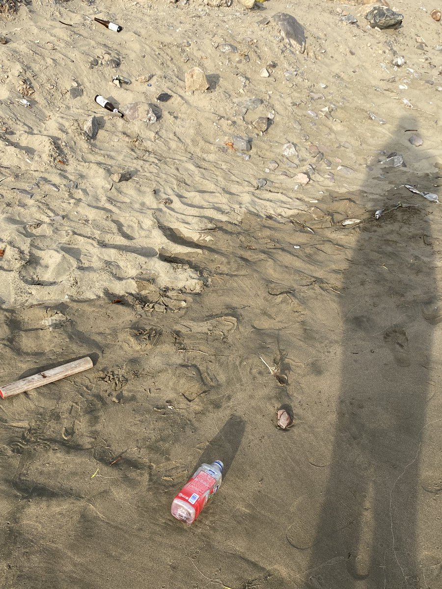 AndreaSal26's tweet photo. Que perro asco 🤢🤮🤮recojan su basura si vienen al El Maviri @OutMochis Porfavor compartan así es como se ve nuestra playa, da pena la neta, no nos cuesta nada tirar la basura en su lugar ‼️‼️ https://t.co/nc3VeXCieK
