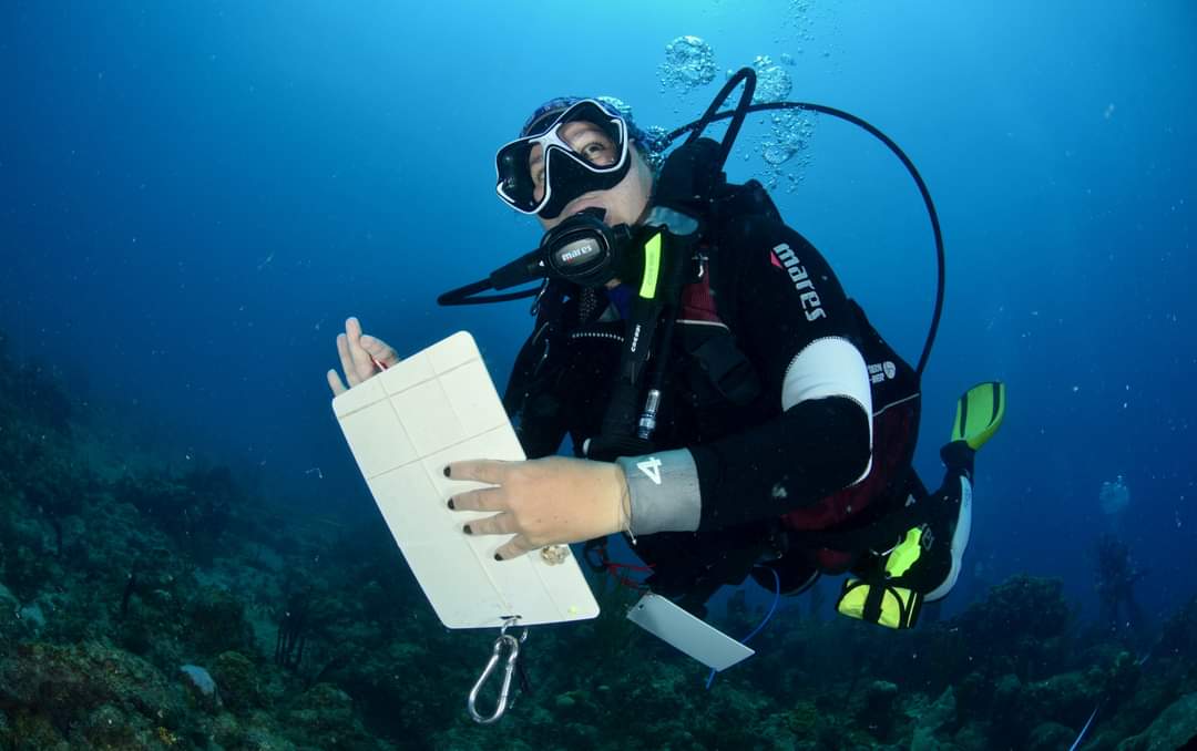 A través de Naturaleza Secreta seguimos con interés el "Bojeo a #Cuba", prometedor proyecto que impulsan instituciones científicas y ambientales. Ya hay resultados de interés: saludables manglares, avistamiento de manatíes y una gran diversidad de corales en los arrecifes.