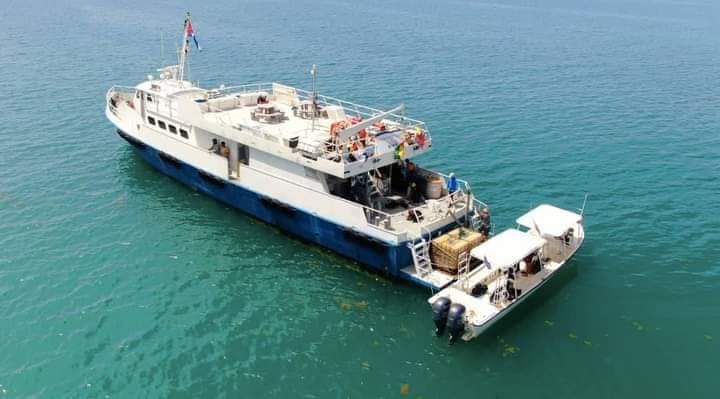 DiazCanelB's tweet photo. Preocupa a los expertos el efecto de la elevación de la temperatura del mar que provoca mortalidad en los corales y la cantidad de desechos plásticos que contaminan nuestro mar. 

Invito a todos a seguir esta expedición única que traerá resultados novedosos para Cuba. #BojeoACuba https://t.co/fpCkZuz2Uf