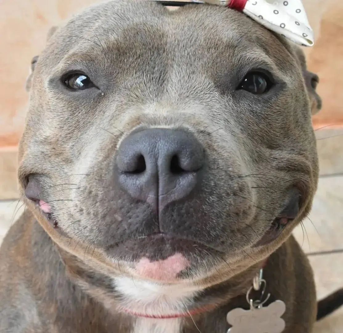Esa sonrisa enamora!!