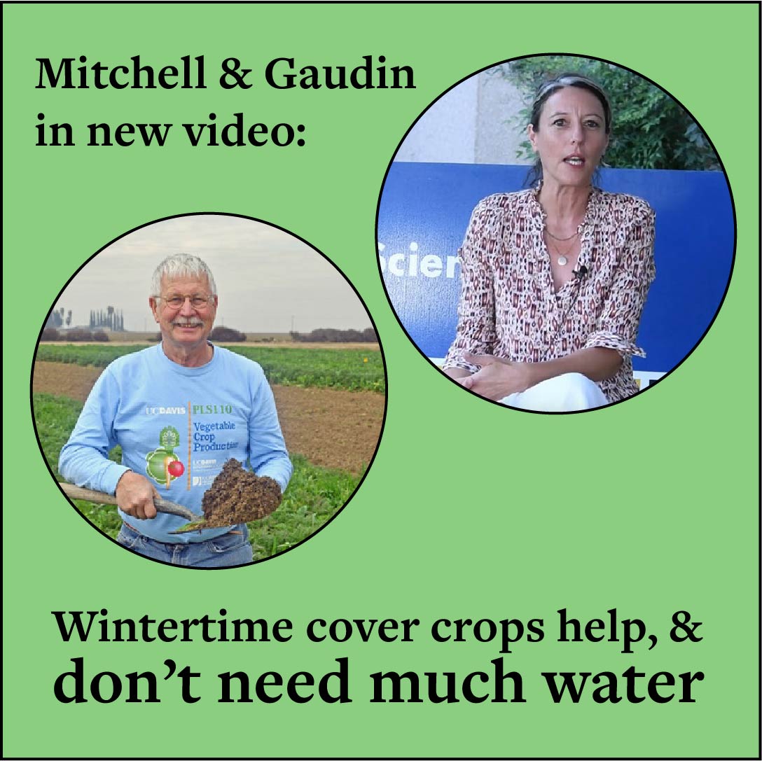 UCDavisPlants's tweet photo. Jeff Mitchell, @amelie_gaudin &amp; @AlyssEtal: Wintertime #covercrops in Ca's Central Valley use very little extra #water, but give BIG benefits to #soil. https://t.co/GQIJPz7D2T #AmazingGradStudents #UCDavisGradStudents #1intheWorldPlantSciences @ucanr #irrigation #drought https://t.co/5H8bftOJxQ
