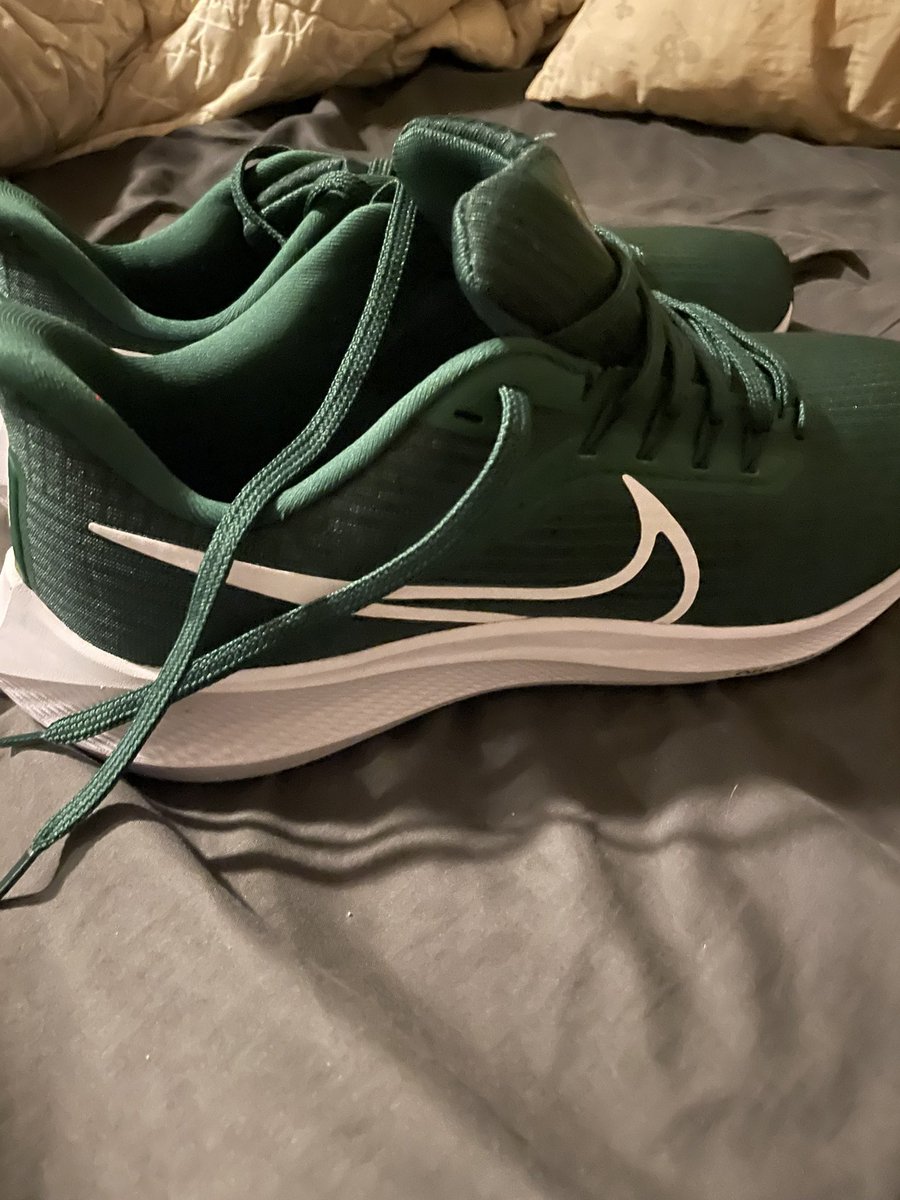 TheDocGoddard's tweet photo. Trying out the Nike Pegasus 39. #nike #nikerunning #runner #running #run https://t.co/egDafzptDH
